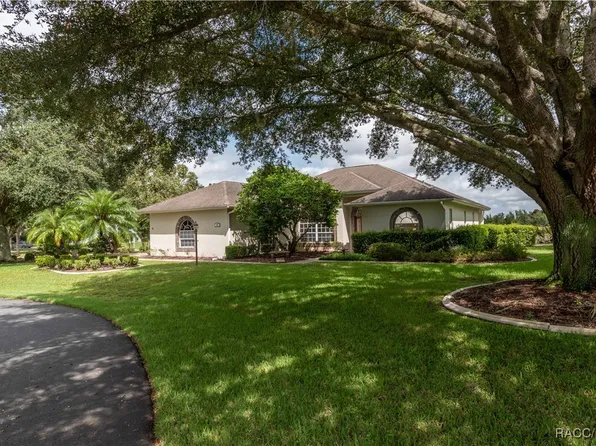61 E Falconry Ct, Hernando, FL 34442