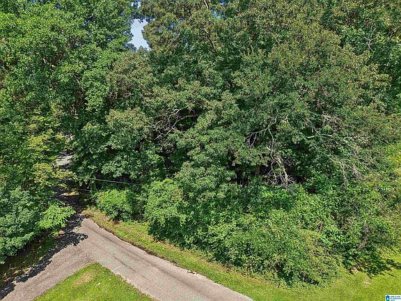 2nd image of 64 Bushwood Rd #0