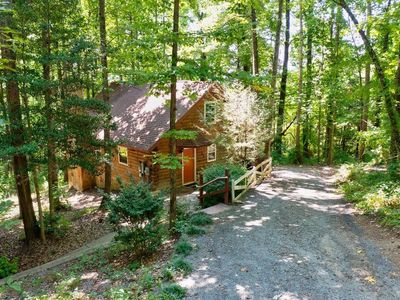 520 Alleghany Spur Rd, Traphill, NC, 28685