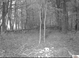 0 Pleasant Hill Rd, Princeton, KY 42445