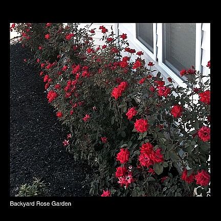 5th image of 526 Hafton Ct
