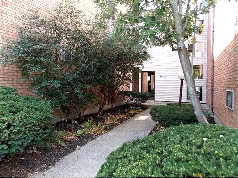 1st image of 4806 Chalet Dr #1201
