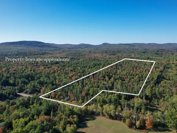 Lot #28 Mariaville Road, Mariaville, ME 04605