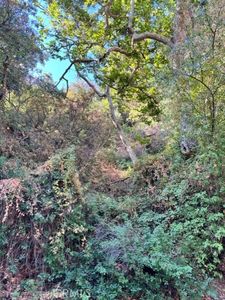 30752 Silverado Canyon Rd, Silverado, CA, 92676