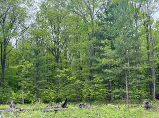 Theron Rd LOT D, Traverse City, MI 49685