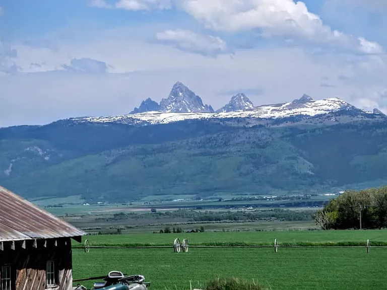 Window View