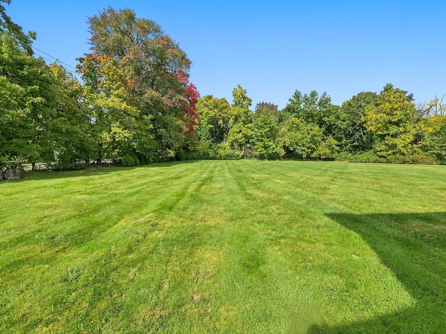 3 bed, 1000 sqft, $3,200 — Photo 4