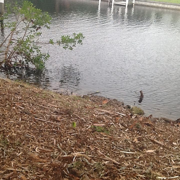 Waterfront lot cleared. 