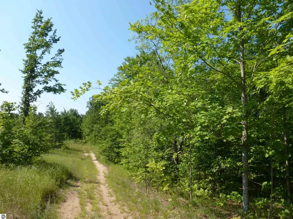0 Summit Rd NE, Kalkaska, MI 49646