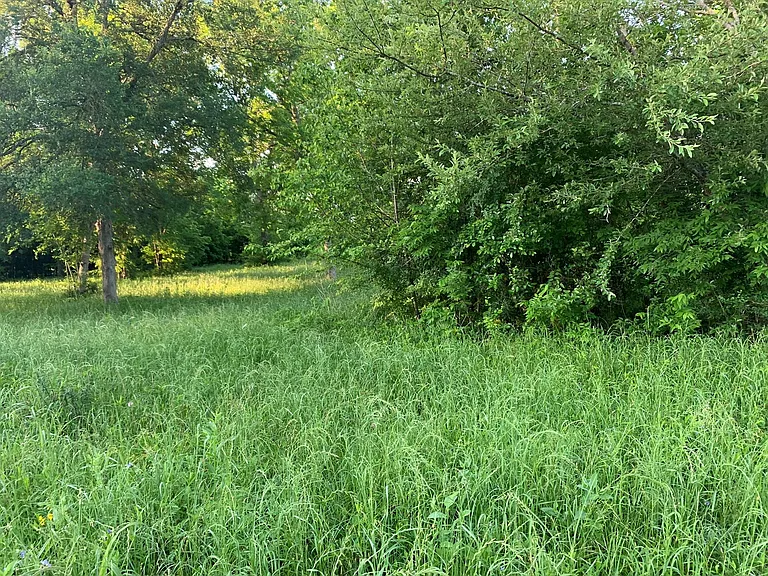 501 FM 1227 Rd — Photo 9