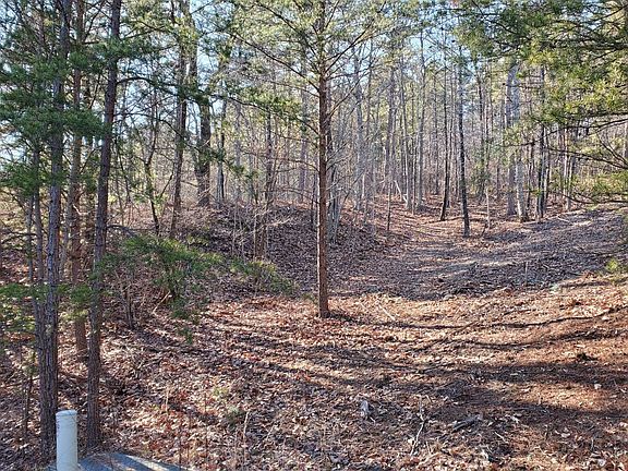 4th image of 25 Allegheny Cove Way Lot 25R