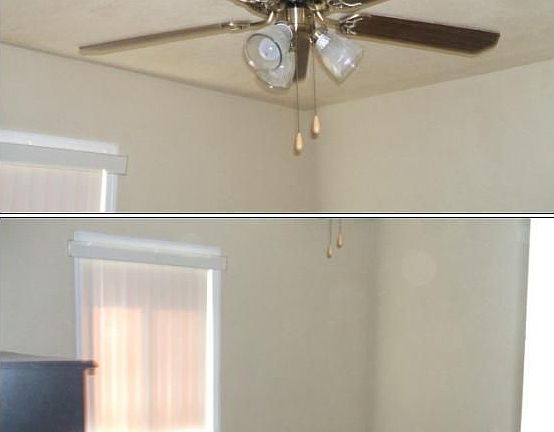 New windows/Fans