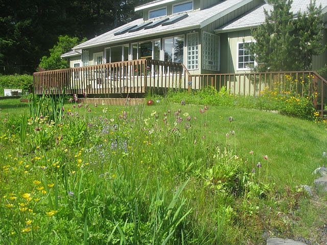 Summer flowers