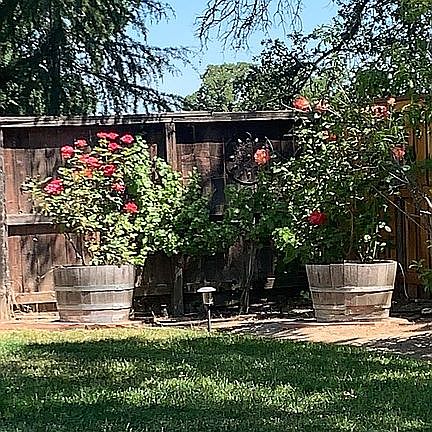 4th image of 15288 Murieta South Pkwy