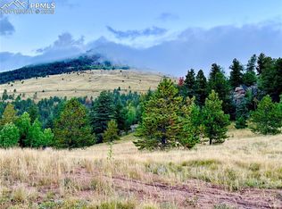 908 Penrose Cir, Cripple Creek, CO 80813