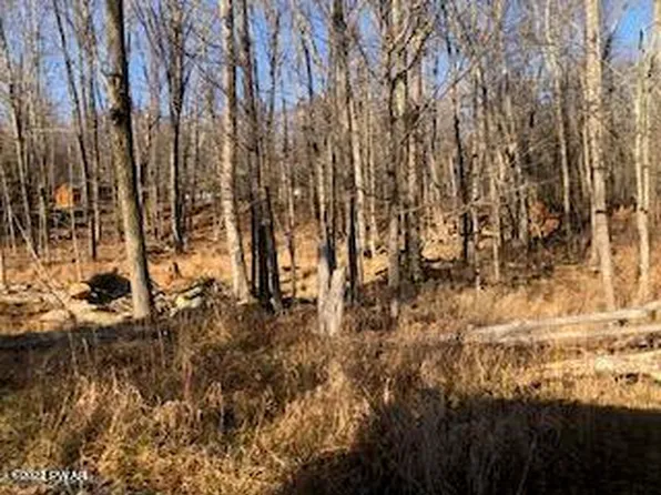 5 Wallenpaupack Dr, Lake Ariel, PA 18436