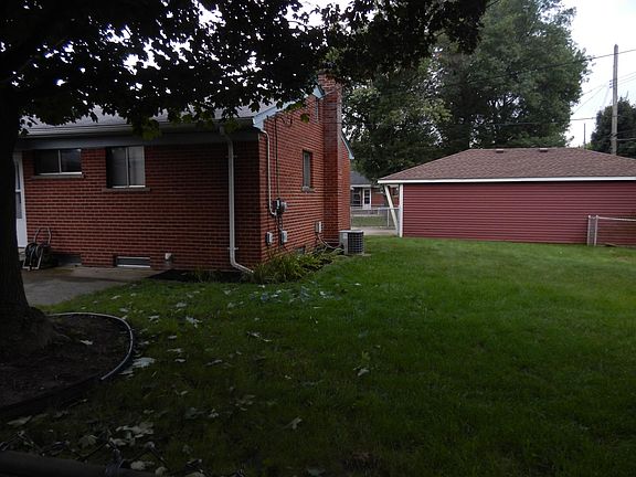 More backyard