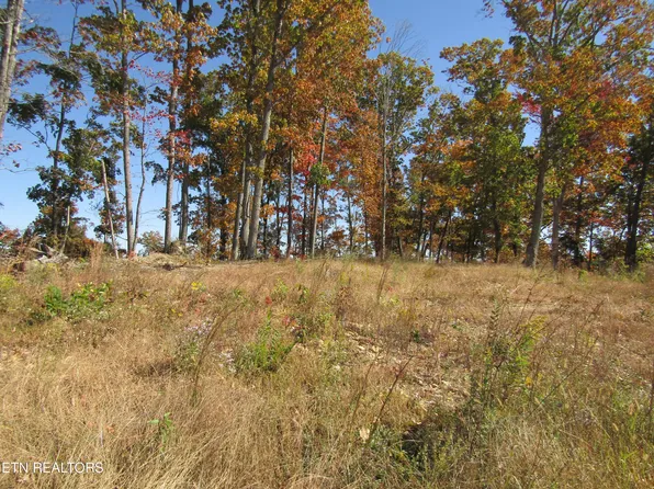 Old Highway 52 West Loop, Celina, TN 38551