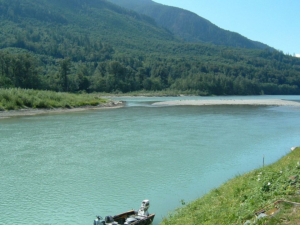 View of river