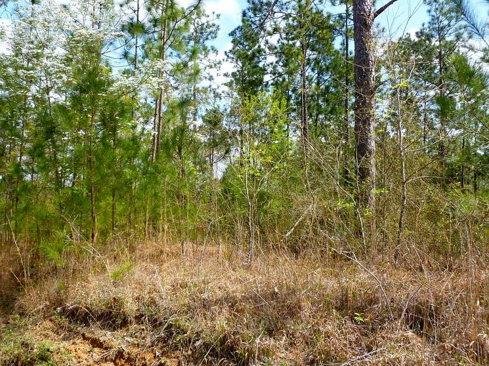 2nd image of 786 Tatum Camp Rd