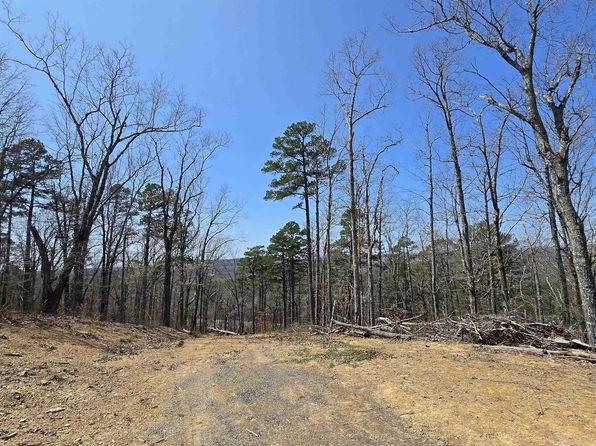 11766 Highway 65 N, Dennard, AR 72629