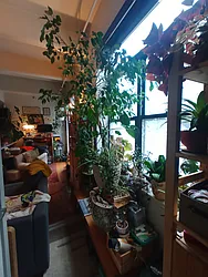 Rented by City Vista Inc