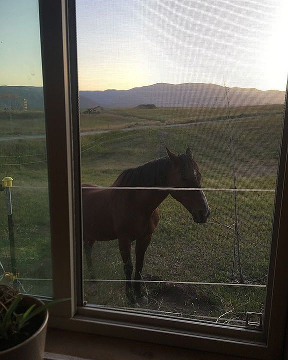 1st image of 61 Walking Horse Way