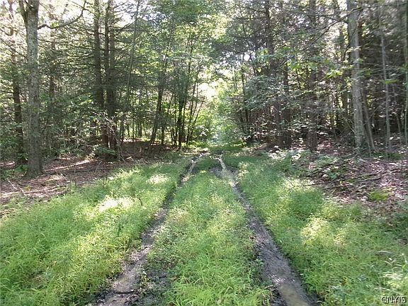 4th image of Perry Rd