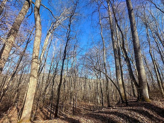 Compass South Land Sales Tennessee 04