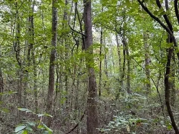22.5 Webster Rd, Whitwell, TN 37397