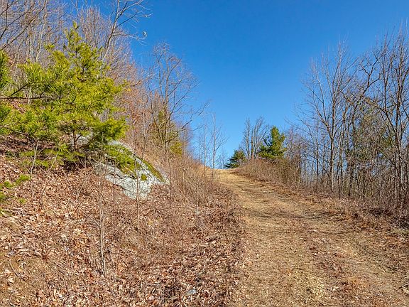 4th image of 124 Spring Pond Trl