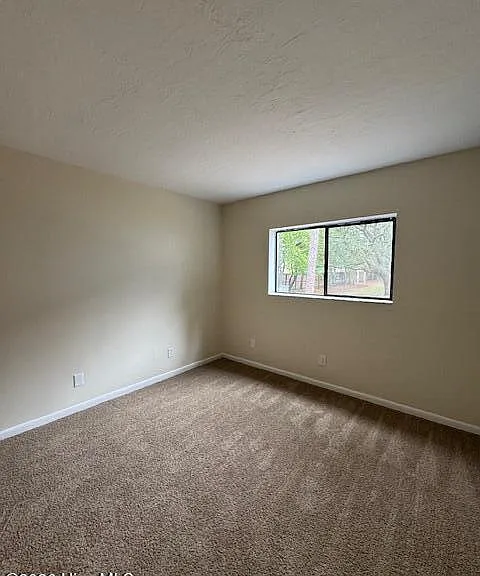 4317 Holly Tree Rd — Photo 8