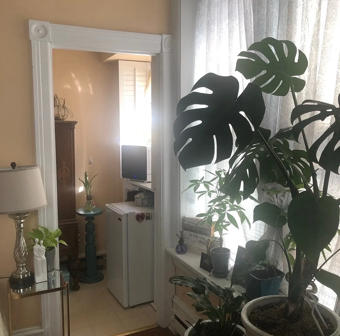 Studio, $1,195 — Photo 2