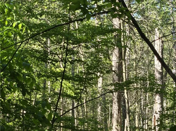 (undisclosed Address), Waterloo, NY 13165