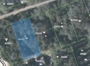 115 Ridgeline Ave, Satsuma, FL 32189