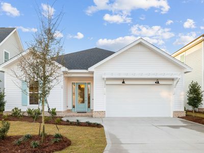 39 Suwannee Dr, Inlet Beach, FL, 32461