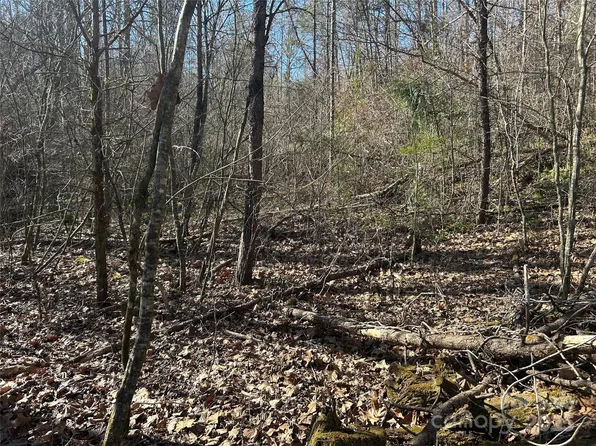 0 Ham Creek Rd, Union Mills, NC 28167