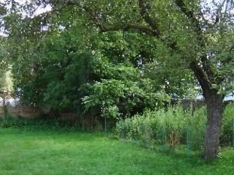 24 Jefferson Ave — Photo 2