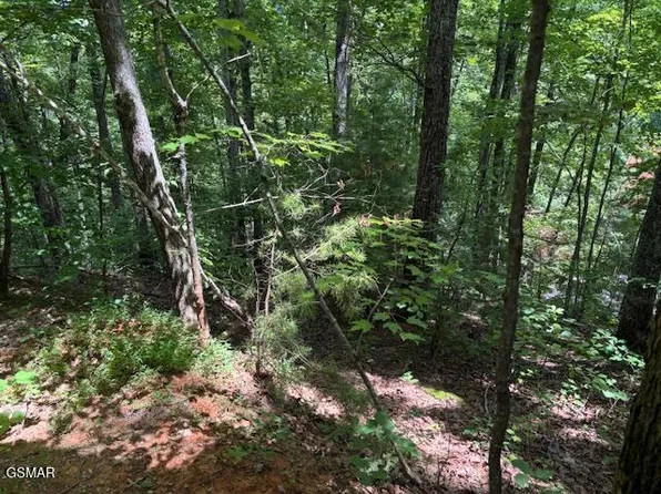 1302 Balsam Cir, Sevierville, TN 37876