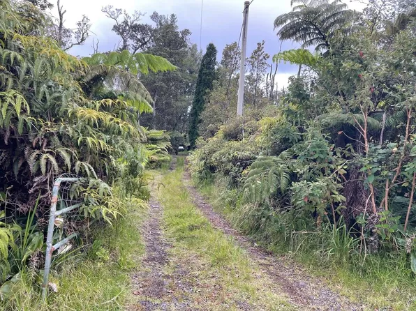 11-3169 Alaula St, Volcano, HI 96785