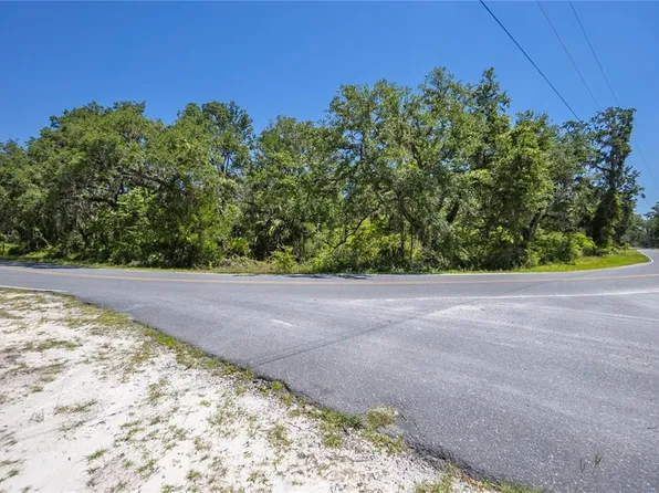 105 NE 239th Ave Lot 1, Old Town, FL 32680
