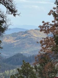  Big Timber and Ocala Drive, Bayfield, CO, 81122