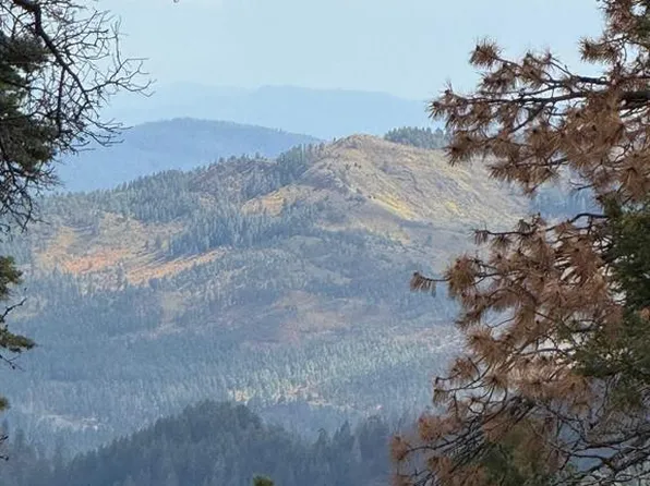  Big Timber and Ocala Drive, Bayfield, CO 81122