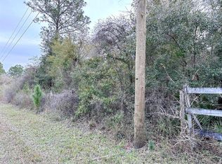 Wilford St LOT 4, Webster, FL 33597