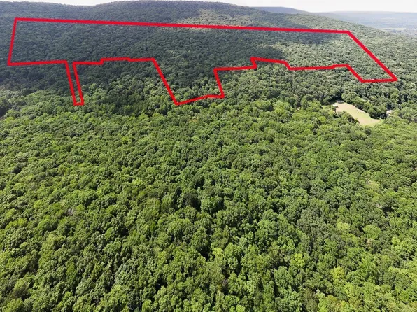 0 Hurricane Rd, New Market, AL 35761