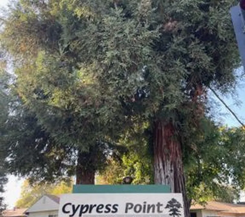 Cypress Point