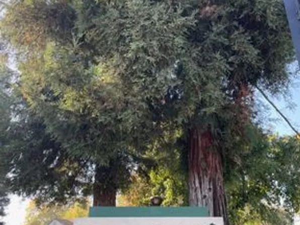 Cypress Point