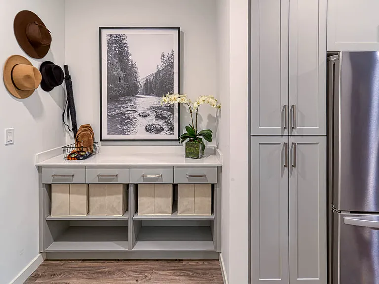 Entryway with Smart Locks