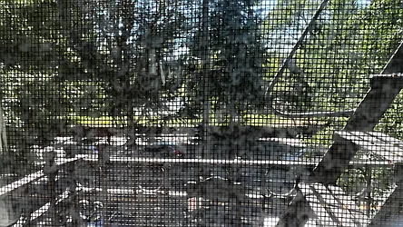 Rented by HOLTON REAL ESTATE INC.