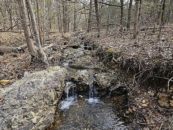 4th image of 0 E Tri Lakes Dr